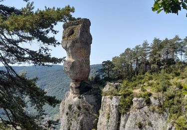 Trail Walking Le Rozier - Corniches de Mejean - Photo