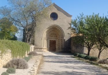 Tour Wandern Peyruis - PEYRUIS . CIRCUIT DE LA REPENTANCE  O L M - Photo