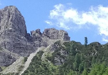 Trail On foot Forni di Sopra - IT-369 - Photo