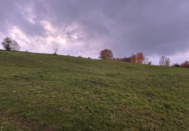 Randonnée Marche Trois-Ponts - Wanne 21,8 km - Photo