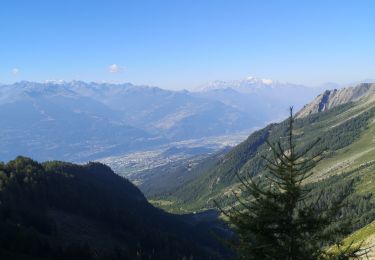 Tour Nordic Walking Arbaz - pas de Maimbré  - Photo