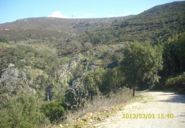 Trail On foot Monchique - 2020-04-21_19h27m39_15-Cascata_do_Barbelote - Photo