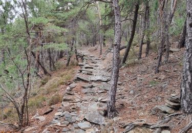 Trail Walking Malarce-sur-la-Thines - malarce  - Photo