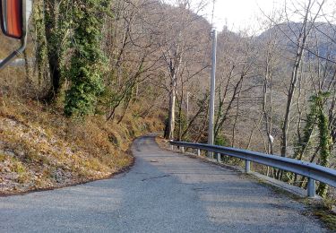 Trail On foot Savogna - IT-745 - Photo
