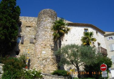 Randonnée Marche Valaurie - Valaurie Roussas 13km - Photo