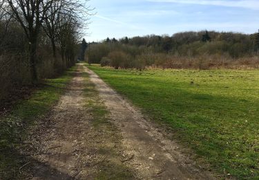 Trail On foot  - Residenzweg - Photo
