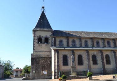 Tour Wandern Limons - Limons_Mons - Photo