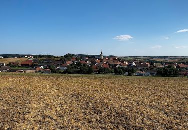 Excursión A pie Großrinderfeld - Liebliches Taubertal – Rundwanderweg 12 – Bildstöcke und Wegkreuze - Photo