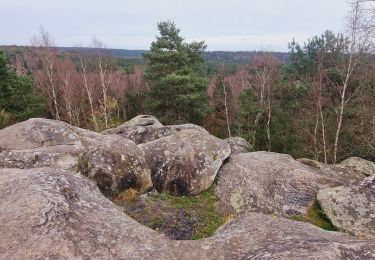 Trail Walking Fontainebleau - Boucle Fontainebleau - Photo