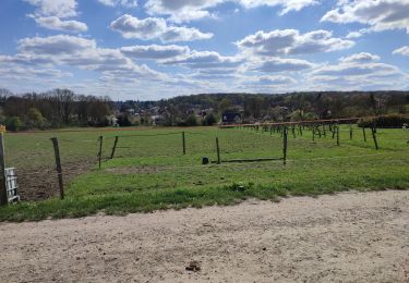 Randonnée Marche Coubron - coubron - Photo