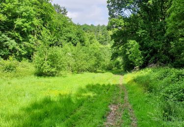 Tocht Stappen Huldenberg - Tomme - Photo