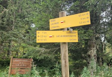 Trail Walking Besse-et-Saint-Anastaise - Les lacs Montcineyre et Bourdouze - Photo