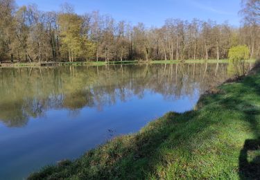 Randonnée Marche Heimsbrunn - Heimsbrunn Morsch Galfingue retour  - Photo