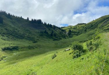 Trail Walking Megève - Mont vores col very - Photo