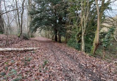 Trail Walking Valorbiquet - St Cyr du Ronceray  - Photo