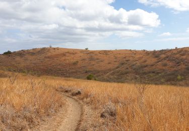 Trail Walking Saint-Paul - Boucle dans la Savane depuis le cap de la Houssaye - Photo