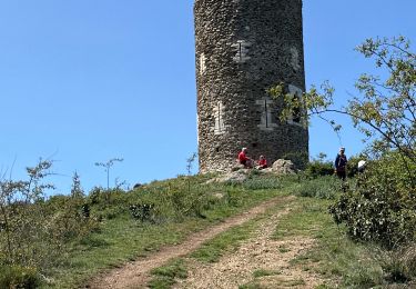 Excursión Senderismo Vernet-les-Bains - Tour de GOA et pic de la PENA par Vernet les Bains - Photo