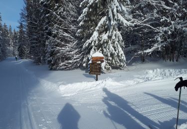 Trail Cross-country skiing Chapelle-des-Bois - chapelle des bois - Ferme Valentin - Photo