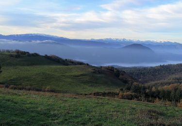 Trail On foot Valmigère - La Malboisie - Photo