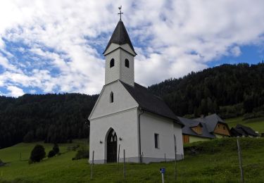 Tocht Te voet Pölstal - Wanderweg Lärchkogel - Photo