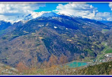 Randonnée A pied Vezza d'Oglio - Sentiero dei Boschi - Photo
