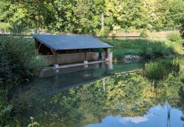 Trail Walking Champigny-sur-Veude - Lémeré Fontaine de Jable - variante PR de Champigny-sur-Veude - 13.1km 160m 3h00 - 2024 08 25 - Photo