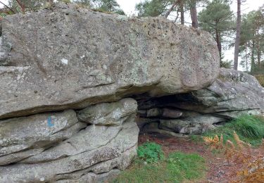 Tour Wandern Fontainebleau - Sentier Denecourt N°9 - Photo