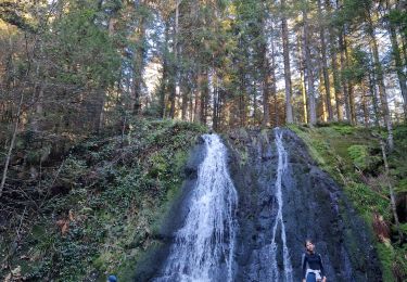 Excursión Senderismo Sapois - Le Haut du Tôt  - Photo