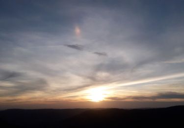 Randonnée A pied Le Ménil - La tête des champs  - Photo