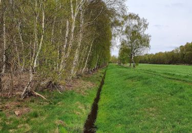 Randonnée A pied Kalbe - Rund um Heidenau-Kalbe Wanderweg - Photo