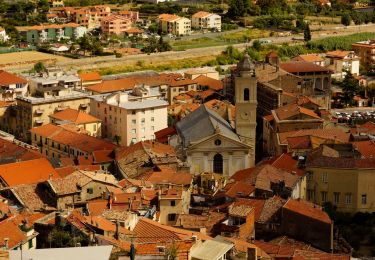 Trail On foot Sanremo - Via della Costa - Photo