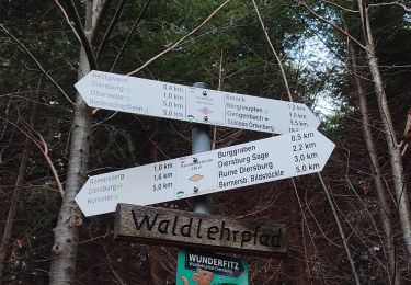 Tocht Te voet Lahr/Schwarzwald - Lahr - Diersburg - Photo