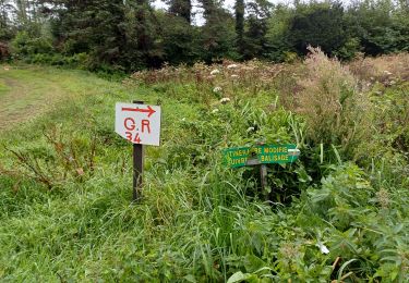 Tocht Stappen Le Faou -  GR34 Le Faou -- Rangoulic - Photo