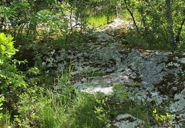 Trail Walking Caniac-du-Causse - igue planaires avec Romain - Photo