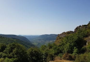 Tocht Stappen Lauroux - Labeil - Forêt de l'Escandorgue - Photo