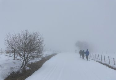 Randonnée Raquettes à neige Besse-et-Saint-Anastaise - Lac pavin pealat  - Photo