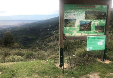 Excursión Marcha nórdica Cantaron - Mont. Macaron 1er bar à chien  - Photo