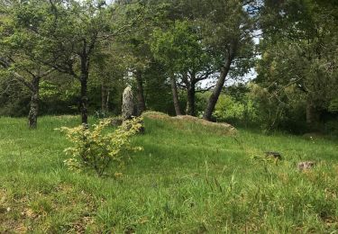 Excursión Senderismo Plougoumelen - Mn le samedi Ffe - Photo