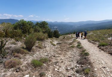 Randonnée Marche Castellane - Chasteuil Rougon - Photo