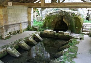 Tour Wandern Mareuil en Périgord - boucle des cluzeaux - Photo