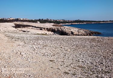 Trail Walking Martigues - Sausset la couronne - Photo