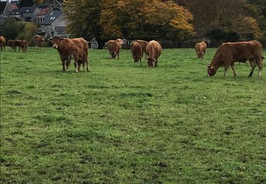 Tour Wandern Soumagne - Départ rue sur les pres - Photo