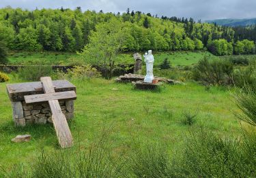 Tocht Stappen Cheylard-l'Évêque - Stevenson Le Cheylard l'Evèque - Notre Dame des Neiges - Photo