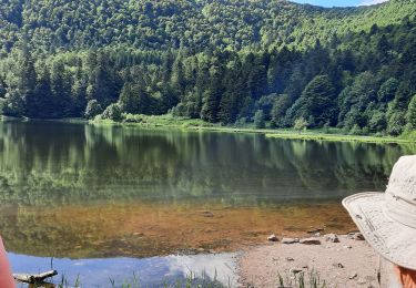 Tour Wandern Woll - Tourbière de Machais - Photo