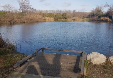 Trail Walking Peyrins - Etang de Chaleyre combe de Barnas - Photo