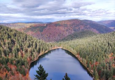 Randonnée Marche La Bresse - Le lac des corbeaux et la roche du lac - Photo