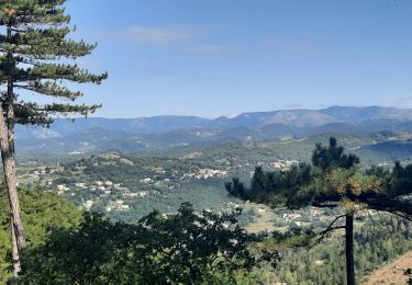 Trail Walking Vesseaux - Vaisseaux Col d'Auriolles 19km - Photo