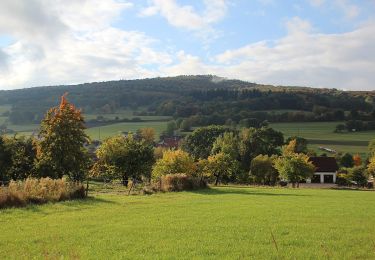 Tocht Te voet Hilders - Rundweg 9, Simmershausen - Photo