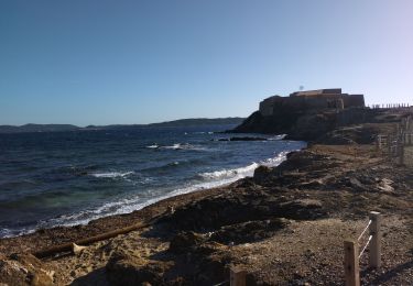 Excursión Cicloturismo Solliès-Pont - Presqu'île de Giens  - Photo