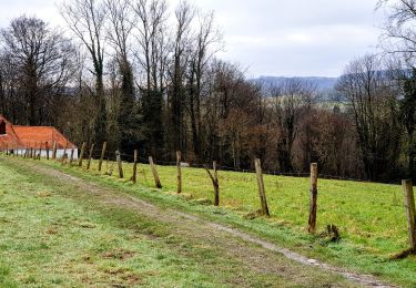 Tocht Stappen Elzele - Ellezelles - Photo